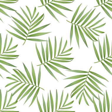 Vektör palmiye yaprak. Tropikal yaprak seamless modeli.