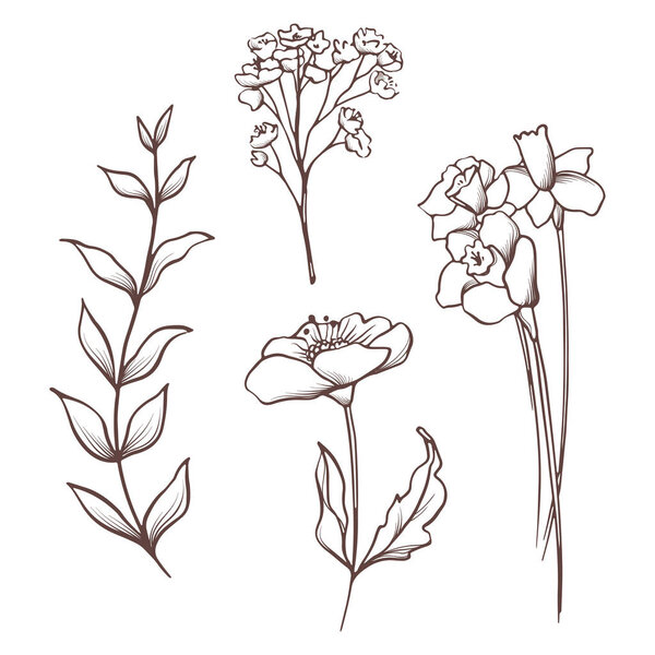 Коллекция векторных цветов. Ручной набор цветов и листьев. Цветущая композиция
.