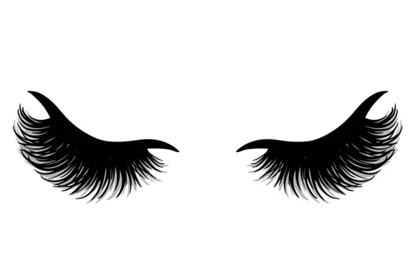 Augenbrauen und Wimpern Vektor Illustration. schöne Wimpern. — Stockvektor