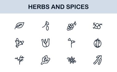 Bitki ve Baharat Hattı Simge Koleksiyonu. Yaratıcı, gurme ve doğal ürün uygulamaları için basit bir doğrusal tasarım içinde eşsiz, organik otlar ve baharat ikonu paketi.