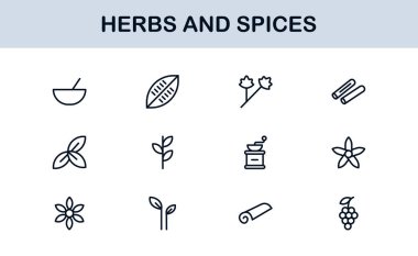 Bitki ve Baharat Hattı Simge Koleksiyonu. Yaratıcı, gurme ve doğal ürün uygulamaları için basit bir doğrusal tasarım içinde eşsiz, organik otlar ve baharat ikonu paketi.