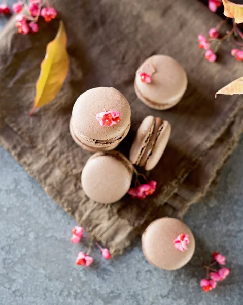 Handmade cake macaron with chocolate filling and flowers