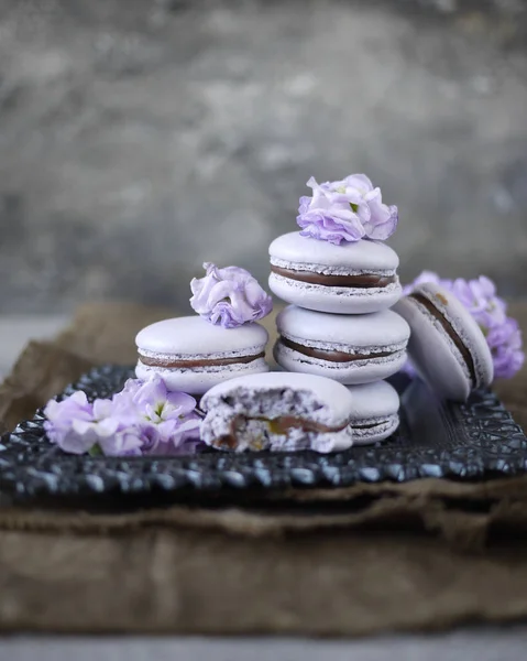 Macarrones Lila Con Ganache Chocolate Decorado Con Flores Lila Imagen de stock