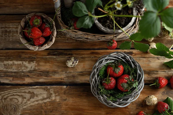 Fresh Strawberries Bird Nest Quail Eggs Wooden Table Strawberry Seedlings — Stock Photo, Image