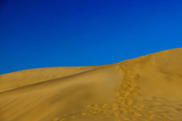 Красивый Пейзаж Пустыни Намиб Рисунками Следами Прекрасных Золотых Песках Дюны — стоковое фото