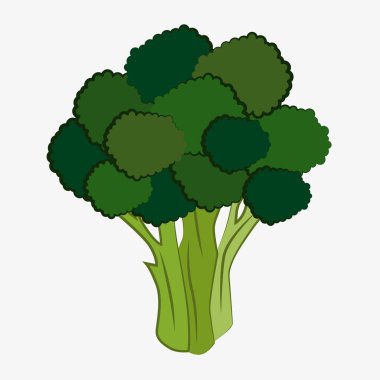 Brokoli tasviri. Yeşil çiçekli, taze brokoli resmi. EPS 10.