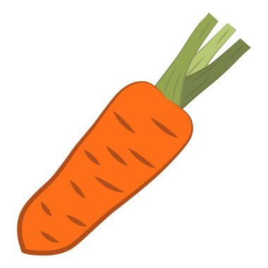 Havuç tasviri. Havuç, parlak turuncu renkli ve vitamin içeren popüler bir sebzedir. EPS 10.