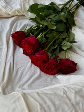 Beyaz çarşafa serilmiş kırmızı güller yumuşak doğal ışıkta. Aşk için romantik bir hayat, Sevgililer Günü ve düğün kavramları. 