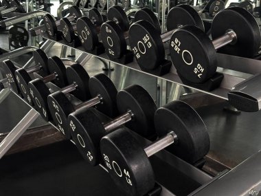 Modern bir spor salonunda rafta duran metal dambıllar. Dayanıklılık eğitimi, vücut geliştirme ve fitness motivasyon kavramı. 