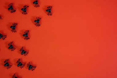 Minimalist cadılar bayramı dairesi koyu kırmızı arka plana dağılmış siyah örümceklerle yatıyordu. Sezonluk tasarım için mükemmel ürkütücü arkaplan. 