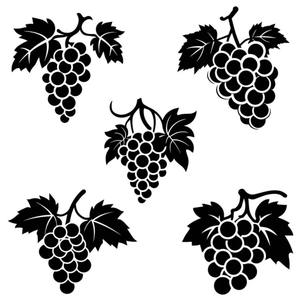 Üzüm simgesi siyah ve beyaz arka plan tasarımı. siluet biçimi, vektör illüstrasyonu.