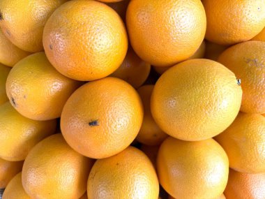 Yüksek çözünürlüklü fotoğraf, parlak bir ışığın altında bir sineği gösteren bir mandalina üst üste yığılmış göz seviyesini ortaya çıkarıyor..