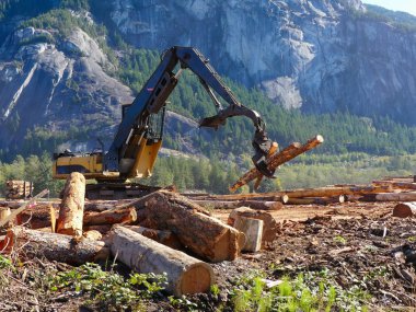 Ahşap lifter ahşap kazık iş hareketli