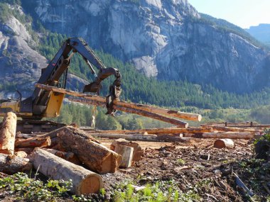 Ahşap iş profesyonel sondaj platformu eylem hasat