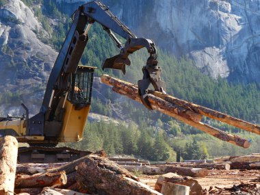 Orman iş yükleyici dağ manzarası çalışma