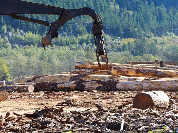 Cerca de la garra levantando troncos de árbol — Foto de Stock