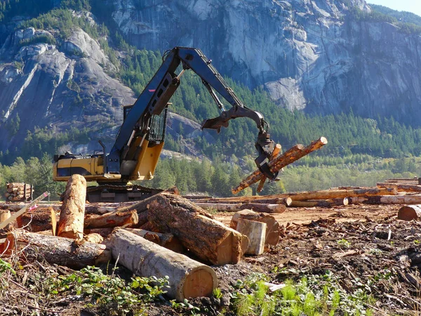 Ahşap lifter ahşap kazık iş hareketli