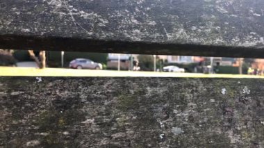 Kavramsal yeşil şehir ahşap arka plan road araçlar güneşli bir gün