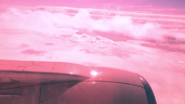 Pink sunrise plane flight clouds background copy space — Stock Video