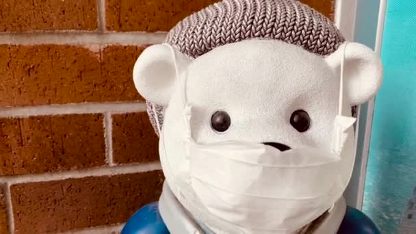 Teddy bear outdoor wearing medical protective mask — Stock Video