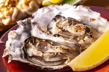 Taze ve lezzetli istiridye