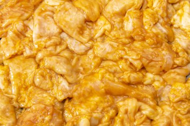 Japon lezzetli ızgara et lezzetli bir madde. Bu bir hormondur.