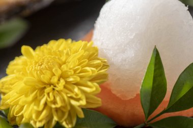 Japon balığı süslemeleri