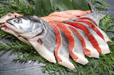 Taze ve lezzetli somon fileto