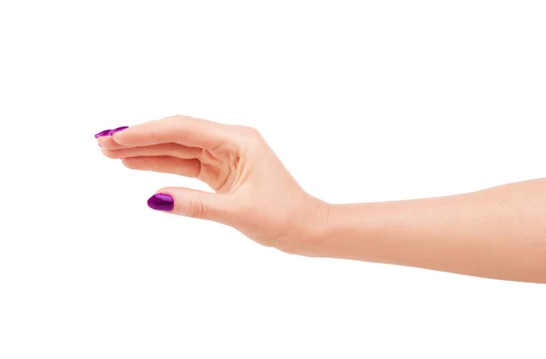 Mãos Mulher Com Manicura Limpa Isolado Sobre Fundo Branco — Fotografia de Stock