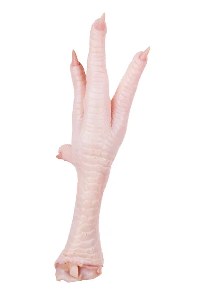 Raw Chicken Feet Isolated White — Stock Photo, Image