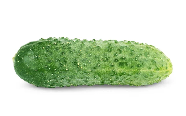 Зелений Свіжий Огірок Ізольований Білому Тлі — стокове фото