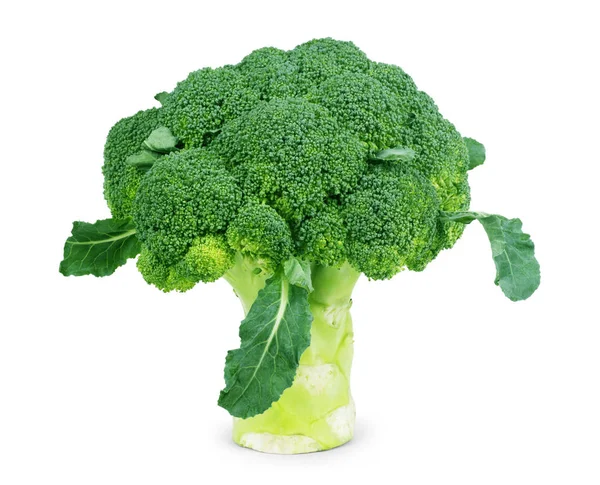 Brocoli Vert Frais Sur Fond Blanc — Photo