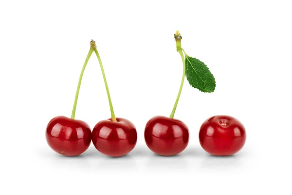 Cereza Aislada Sobre Fondo Blanco — Foto de Stock