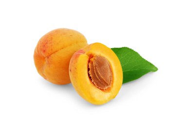 İzole kayısı. Yaprak ve yarısı izole kırpma yolu ile beyaz arka plan üzerinde bütün kayısı taze meyve