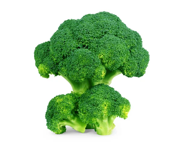 Broccoli Isolated White Background — Stock Photo, Image