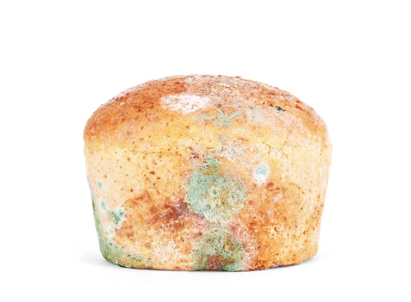 Mold on bread on a white background. Isolated