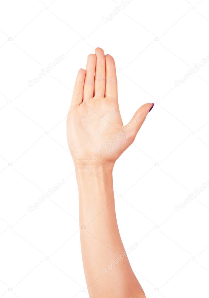 Hand is showing five fingers isolated on a white background