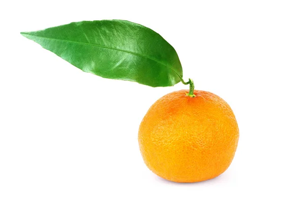 Mandarin Egy Levél Fehér Háttér — Stock Fotó