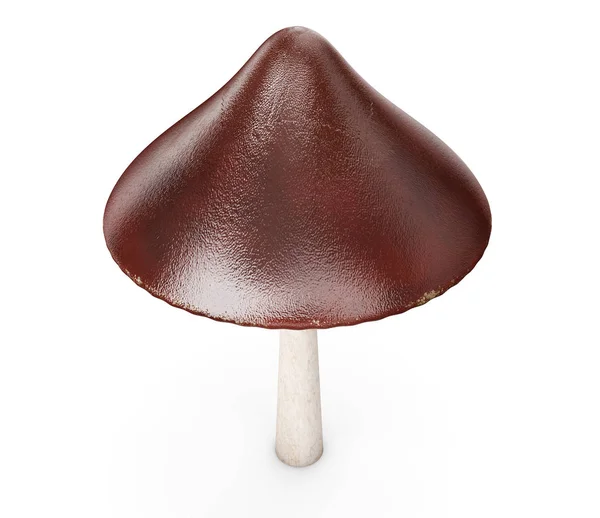 Реалістичний 3d візуалізація гриба — стокове фото