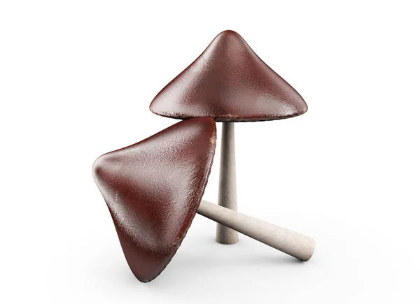 Realista 3D Render of Mushroom — Foto de Stock