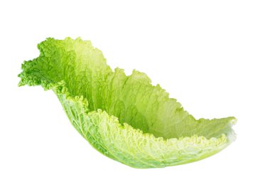 Savoy cabbage leaves on white background clipart
