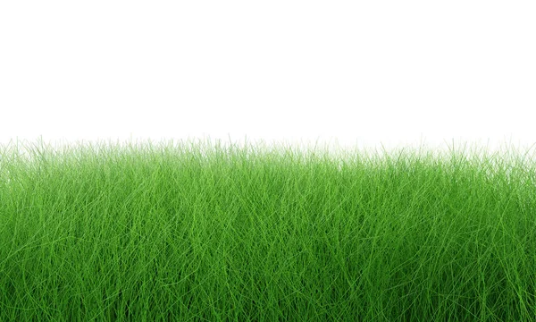 Πράσινο χόρτο πεδίο απομονωθεί σε λευκό με διαδρομή αποκοπής. Οργανω — Φωτογραφία Αρχείου