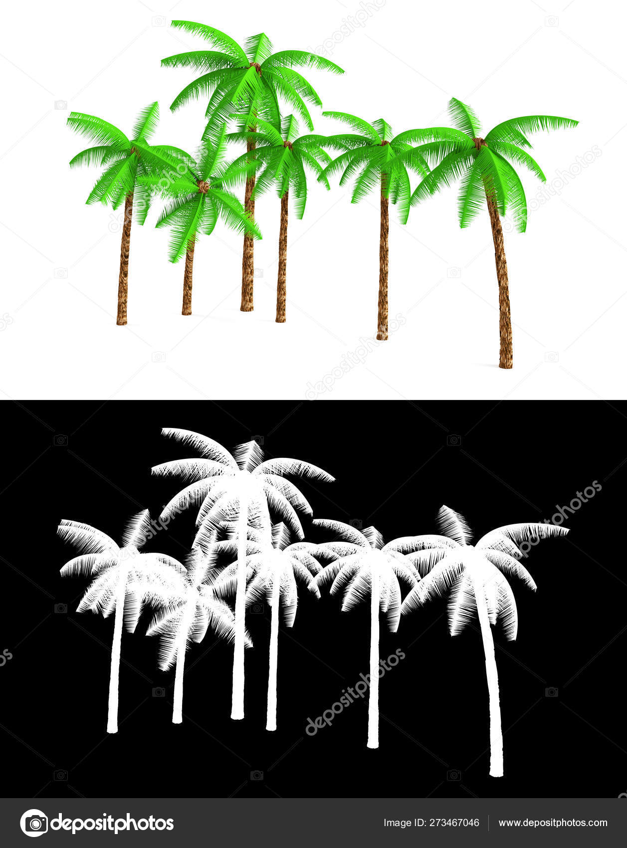 3d Rendering A Tall Coconut Tree Isolated Over A White Backgro