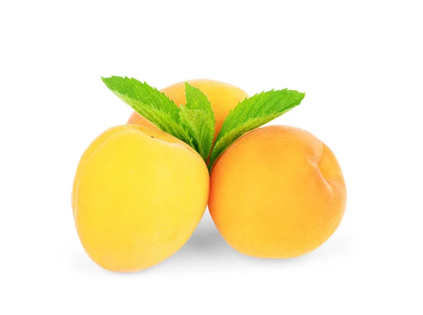 Apricot fruits with leaves isolated on white background — Stock Photo, Image