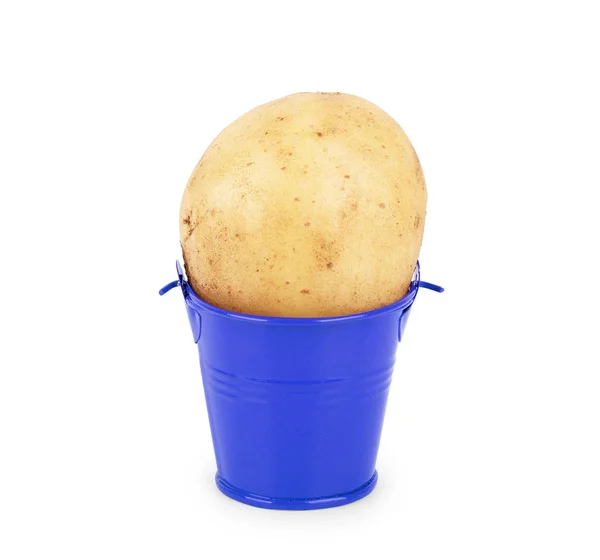Riesenkartoffel im Eimer auf weißem Hintergrund — Stockfoto