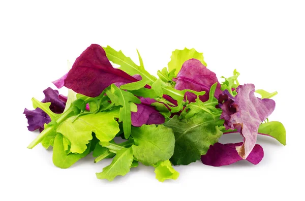 Miscela di insalata rucola, fritto, radicchio e spinaci su dorso bianco — Foto Stock