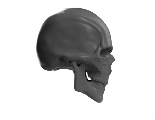 Cráneo Con Mandíbula Abierta Izquierda Render —  Fotos de Stock