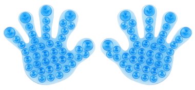 beyaz arkaplanda izole edilmiş taze ahtapot dokunaçları