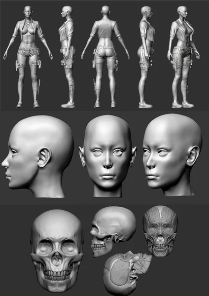 human head 3d wireframe front and side view