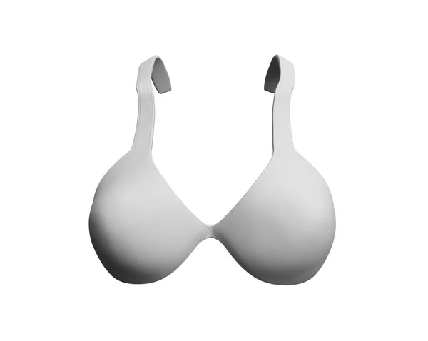 Bra Render White Background — Stock Photo, Image